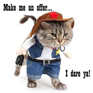 I love a good offer!